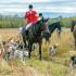 MFHA Grand Championship Fox Hound Performance Trials